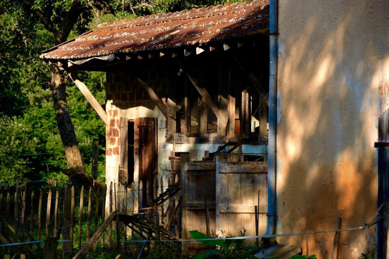 Souslens, Castaignos-Souslens 40 Bed and Breakfast Εξωτερικό φωτογραφία